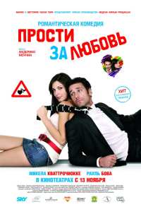 Прости за любовь (2008)