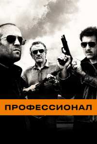 Профессионал (2011)