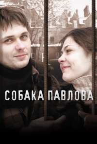 Собака Павлова (2005)