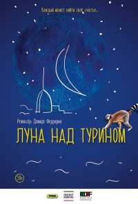 Луна над Турином (2013)